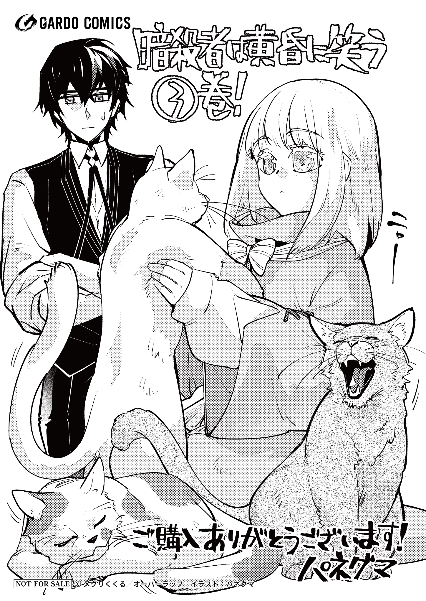 【ガルド】『暗殺者は黄昏に笑う-3』A6ペーパー