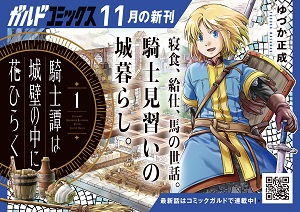 【ガルド】「騎士譚は城壁の中に花ひらく１」A6POP