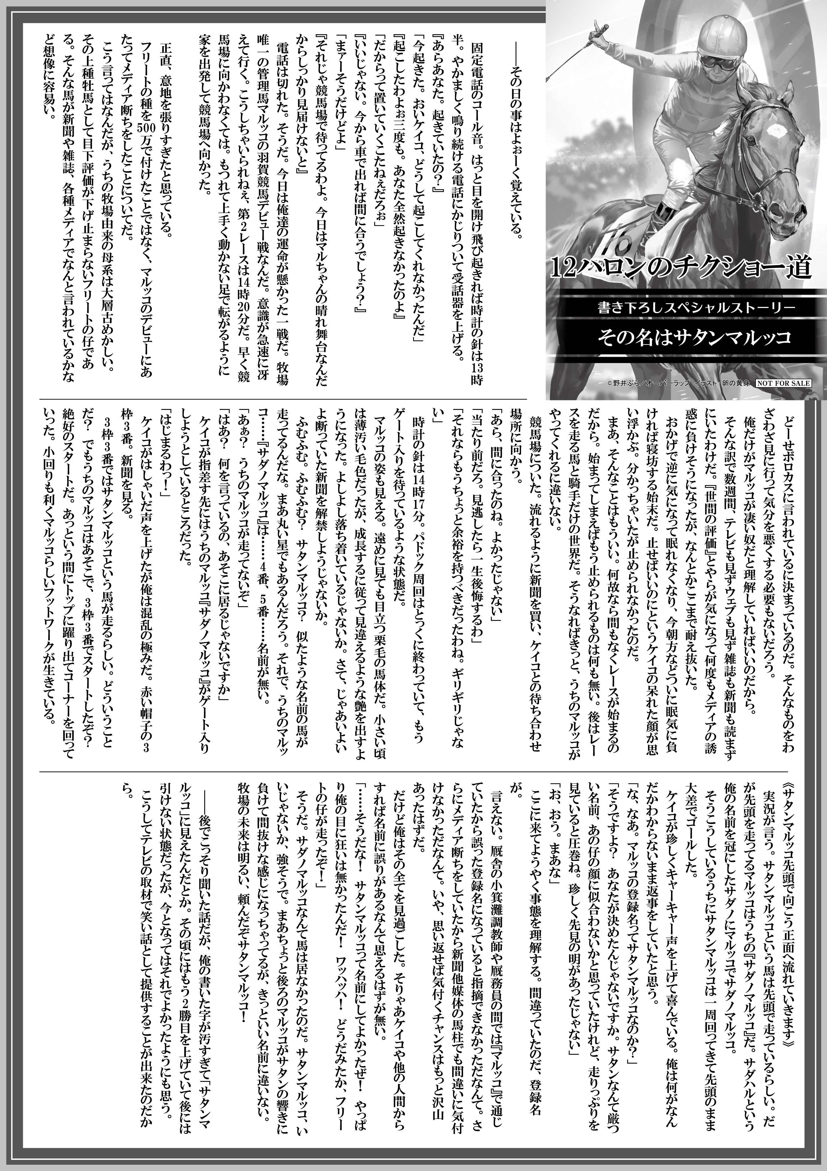 【ノベルス】『12ハロンのチクショー道』A4SSペーパー