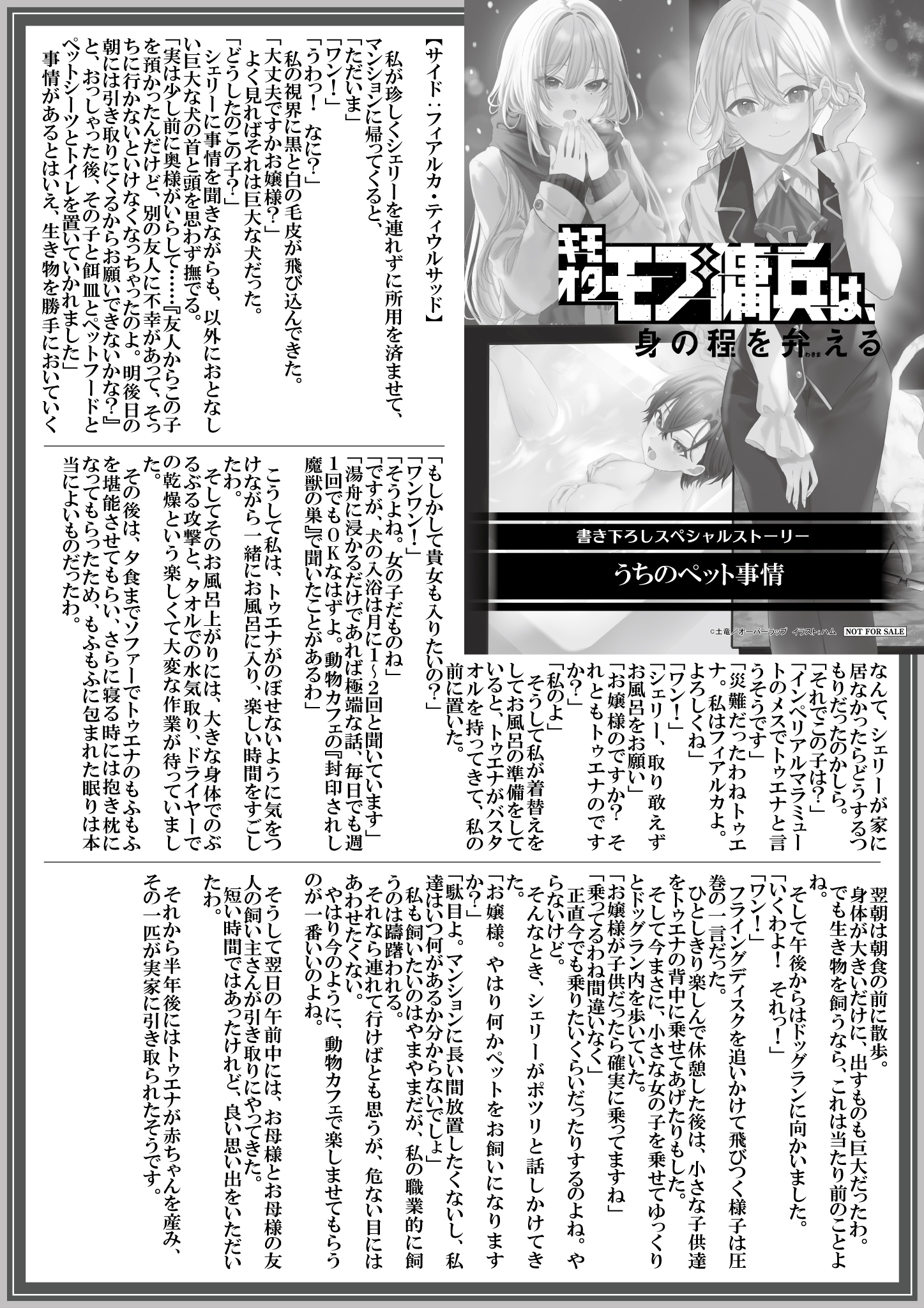 【ノベルス】『キモオタモブ傭兵は、身の程を弁(わきま)える-4』A4SSペーパー