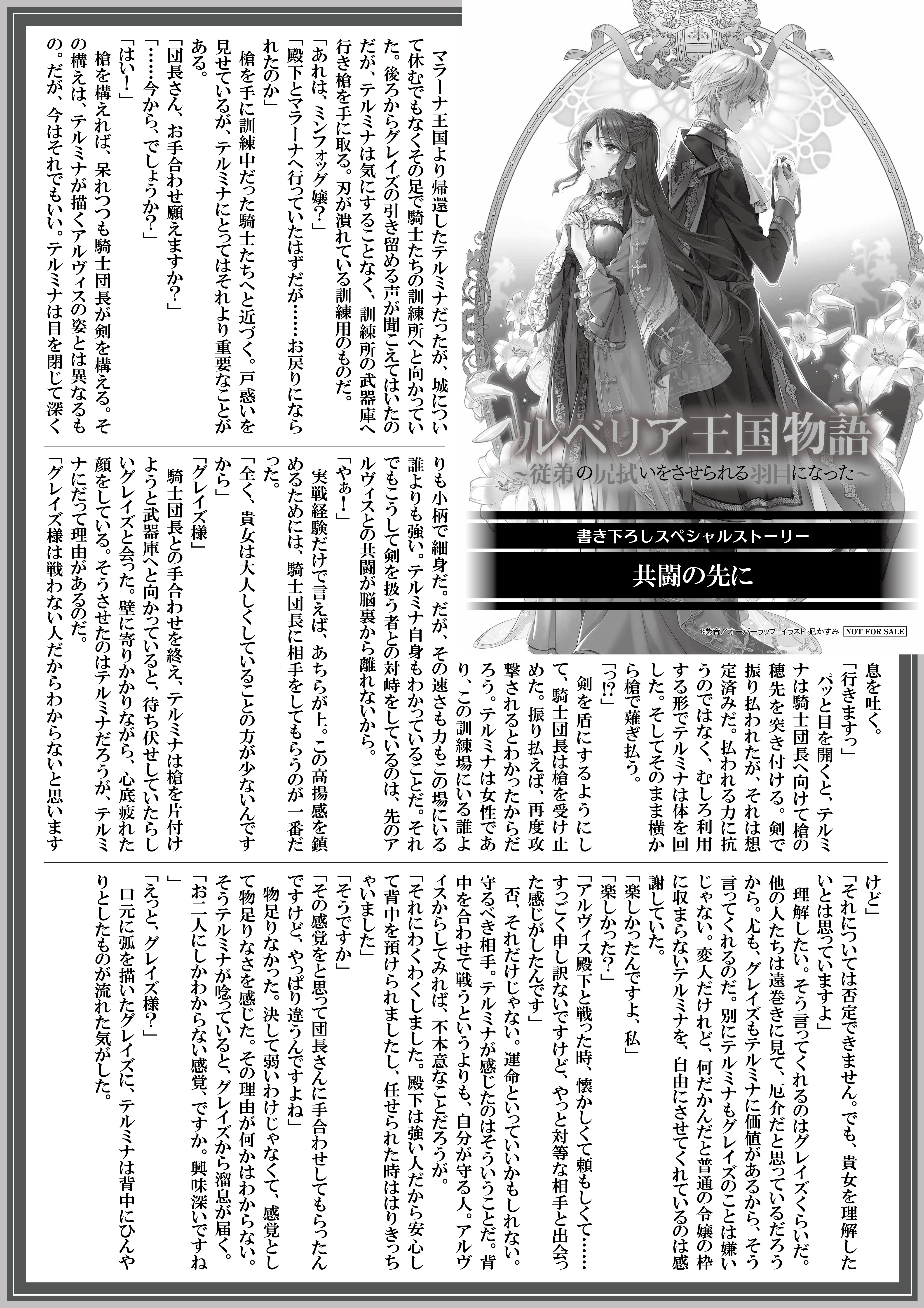 【ノベルス】『ルベリア王国物語7』A4SSペーパー