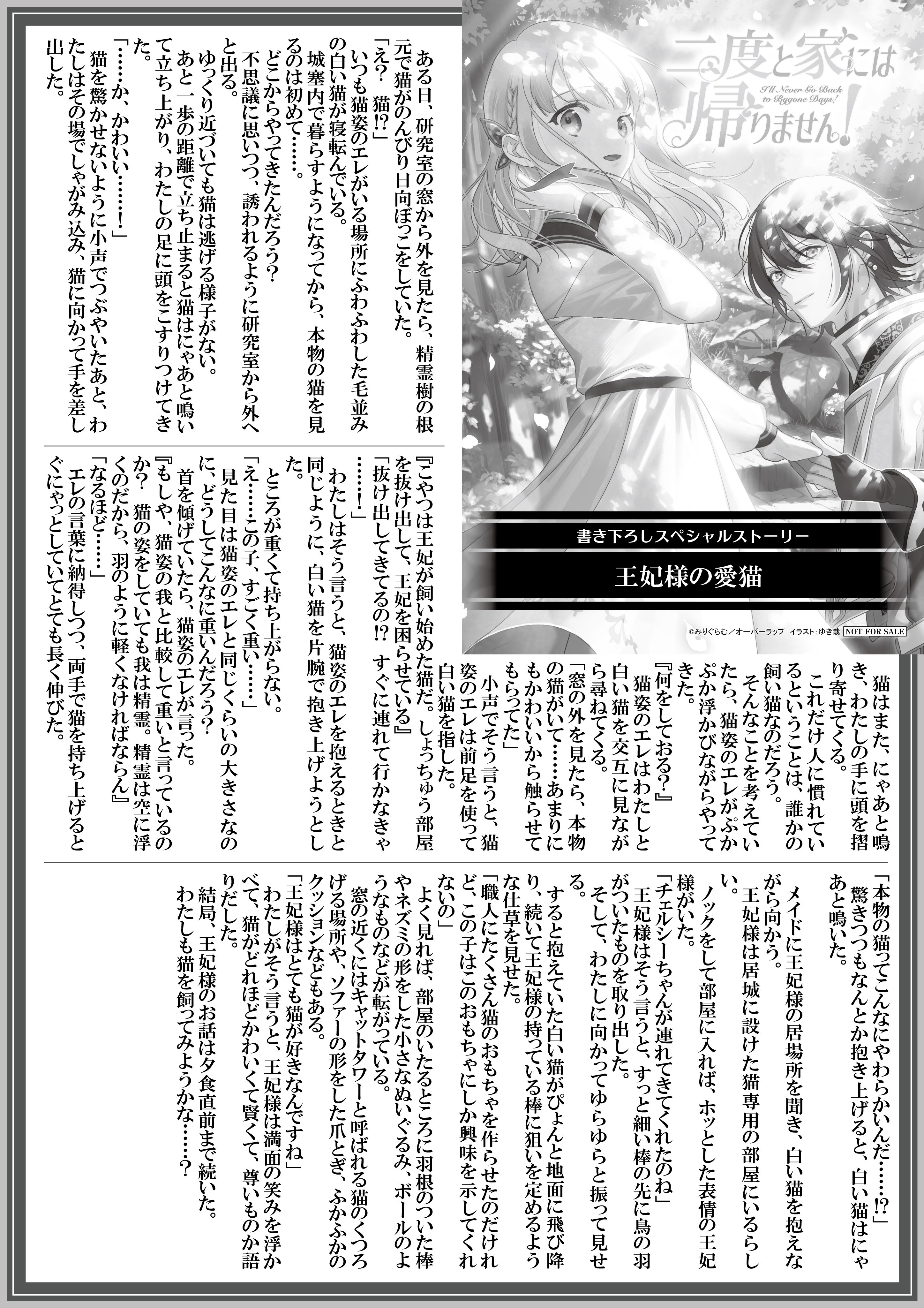 【ノベルス】『二度と家には帰りません！⑥』A4SSペーパー