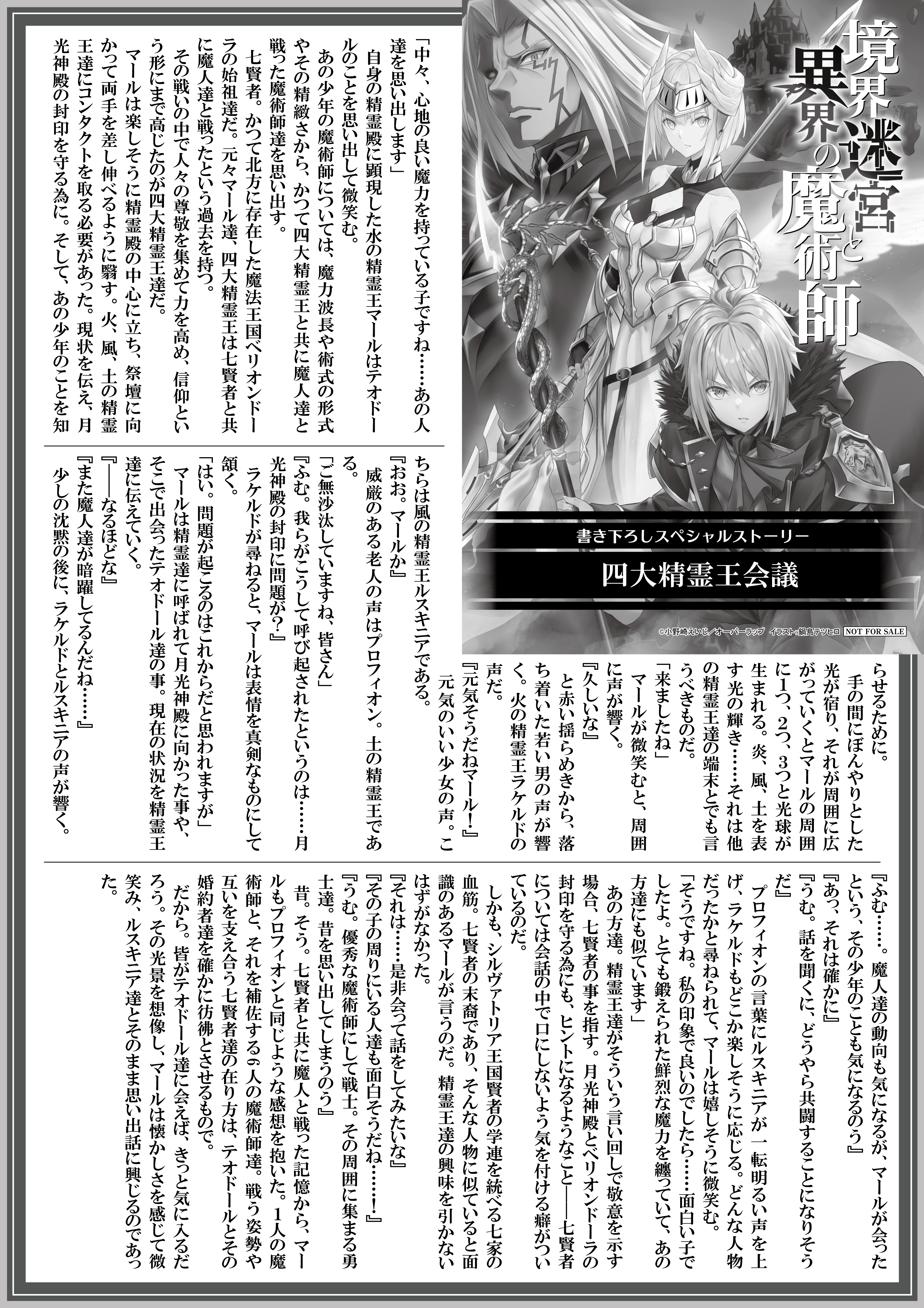 【ノベルス】『境界迷宮と異界の魔術師-17』A4SSペーパー