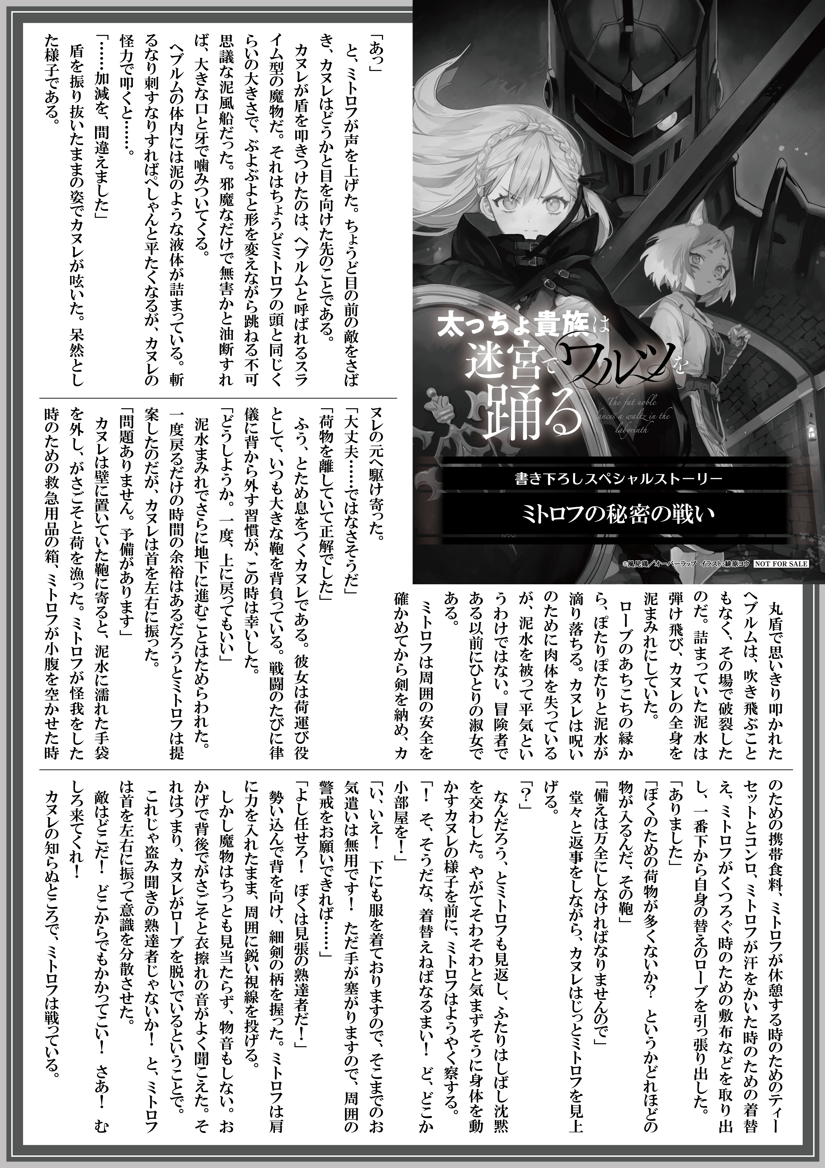 【ノベルス】『太っちょ貴族は迷宮でワルツを踊る-2』A4SSペーパー