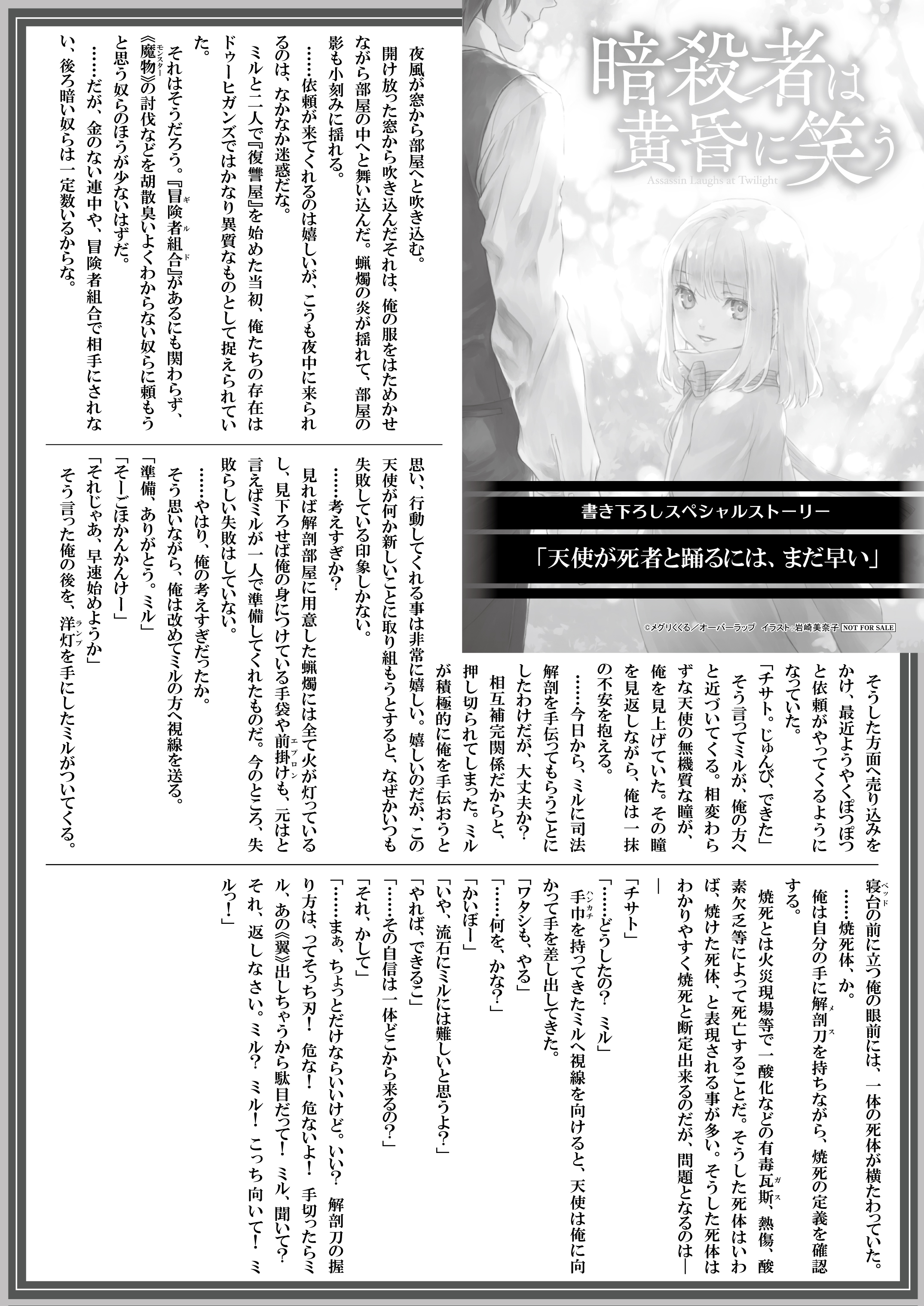 【文庫】『暗殺者は黄昏に笑う-3』B5SSペーパー