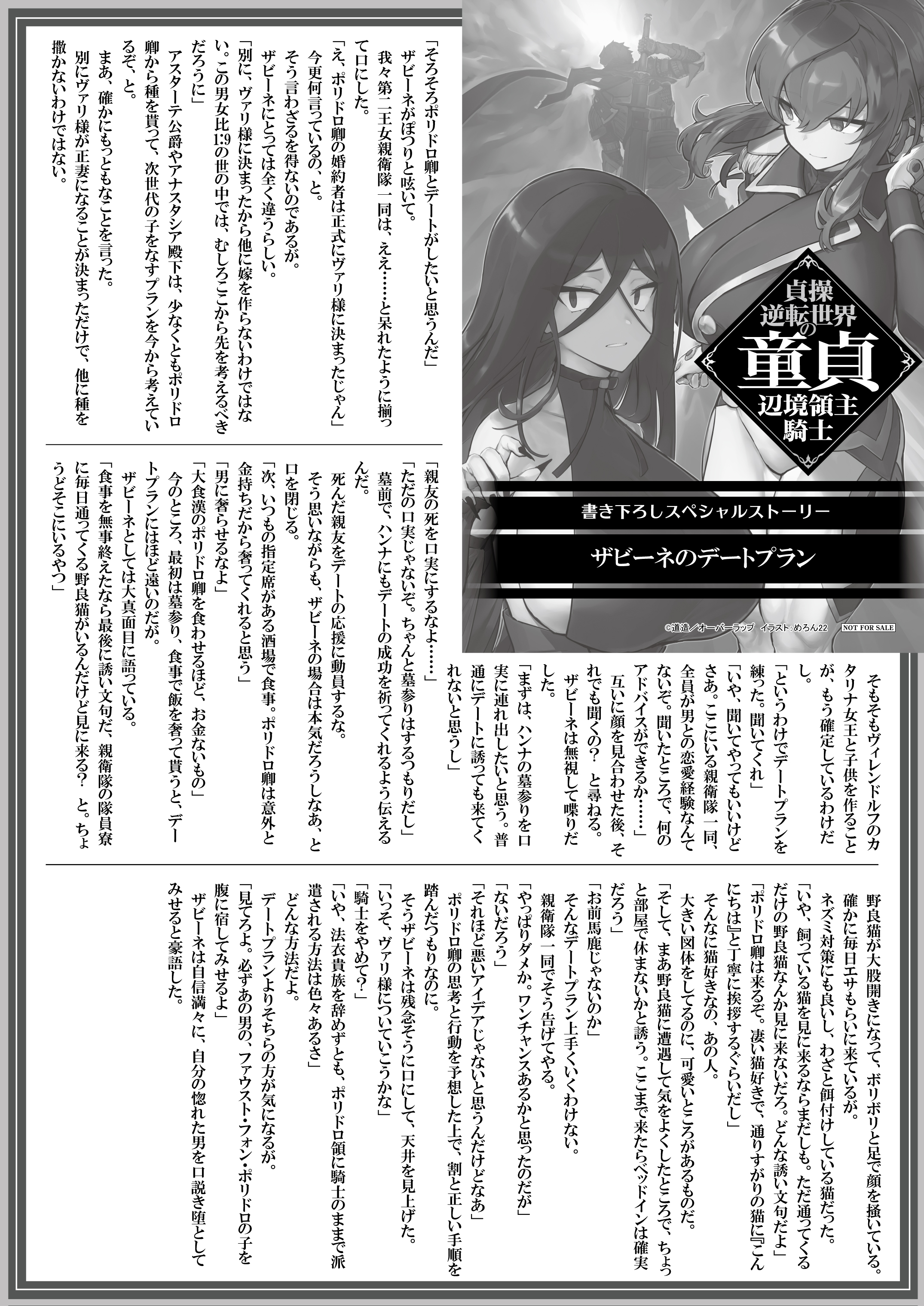 【文庫】『貞操逆転世界の童貞辺境領主騎士-3』B5SSペーパー