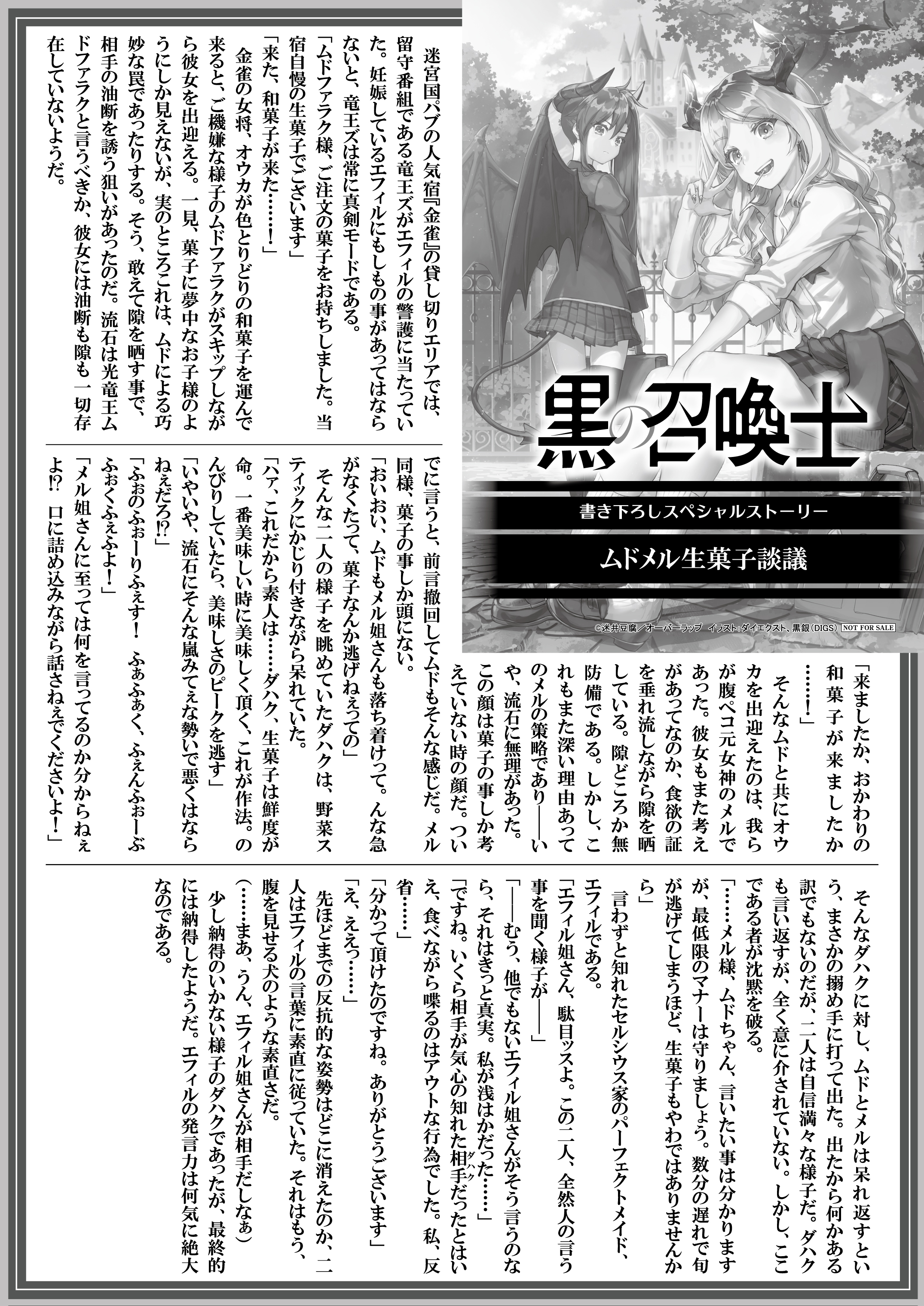 【文庫】『黒の召喚士-17』B5SSペーパー