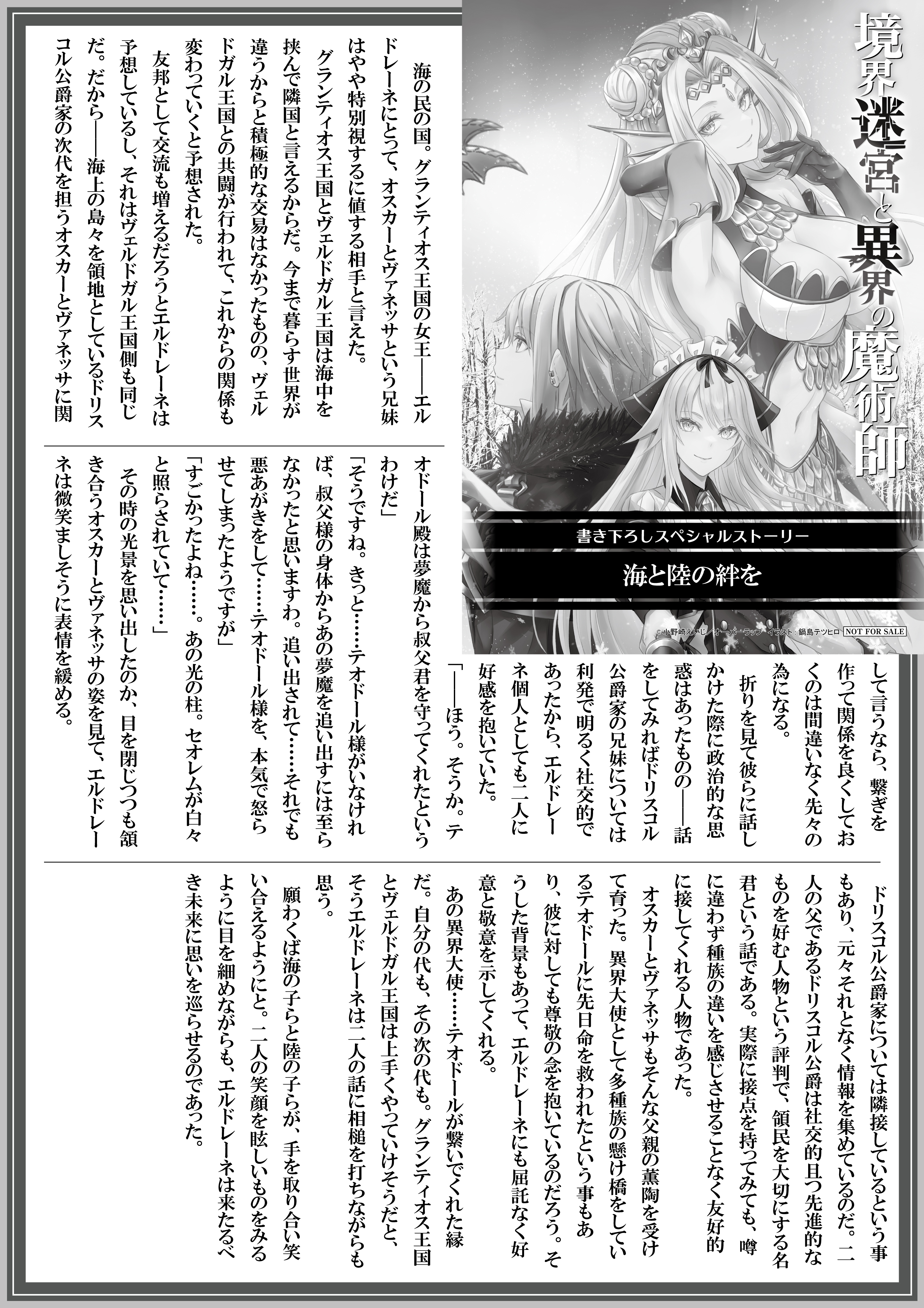 【ノベルス】『境界迷宮と異界の魔術師-16』A4SSペーパー